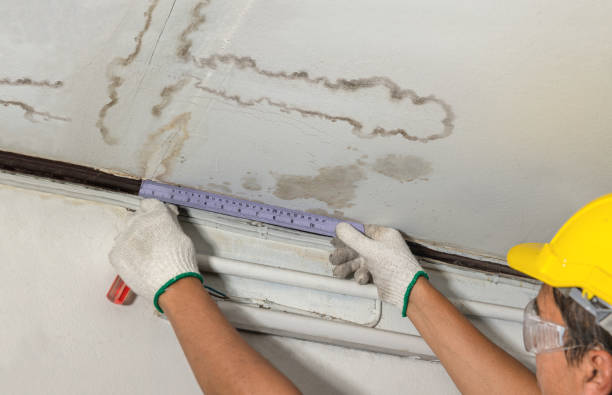 Reliable Structural Drying contractor in Madison, MN by Water Damage Irwin